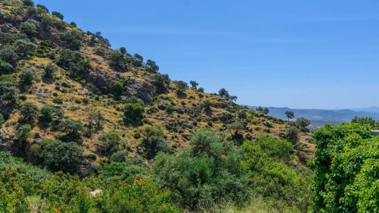 Casa Rural La Teja El Chorro Kültér fotó
